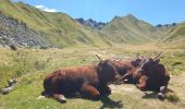 Trail Walking Mont-Dore - La montée au Puy de Sancy par Mont Dore - Photo 8