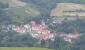 Tour Zu Fuß Waldböckelheim - Waldböckelheimer 