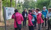 Tour Wandern Schlettstadt - Rando Lerchenberg  Selest6 - Photo 2