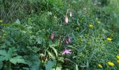 Tour Wandern Fontaine - Le Moucherotte en traversée - Photo 4