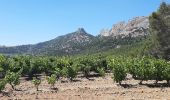 Tocht Stappen La Roque-Alric - Dentelles de Mont Miraille - Photo 1