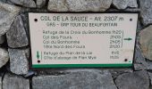 Tocht Stappen Beaufort - COL DE LA SAUCE - Photo 19