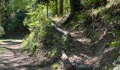 Randonnée Marche Bitschwiller-lès-Thann - JD 16/20 Willer sur Thur - Ferme Auberge d'Ostein 15km 4h - Photo 3