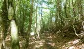 Randonnée Marche Cognin-les-Gorges - Cognin-les-Gorges - Gorges du Nan - Malleval-en-Vercors - Photo 19