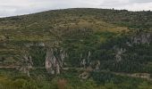 Tocht Stappen Meyrueis - Meyruies - Gorges de la Jonte - Grotte de Dagilan - Photo 19