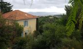 Tour Wandern Le Lavandou - bormes - Photo 1