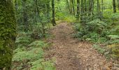 Tocht Stappen Thoré-la-Rochette - Thoré-la-Rochette - Vallée et Coteaux du Loir - Photo 11