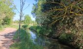 Tour Wandern Vias - Camping Ste Cécile-La Tamarissière-Farinette - Photo 14