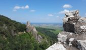 Tour Wandern Rappoltsweiler - Les 3 châteaux de Ribeauvillé - Photo 7