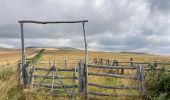 Tocht Stappen Pailherols - Pailherols chapelle du Cantal  - Photo 9