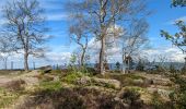 Tour Wandern Vorbruck - 2023-05-13 Marche Sentier des Passeurs Salm - Photo 4