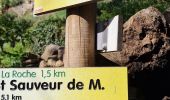 Tour Wandern Saint-Maurice-en-Chalencon - 07 gliuras n2 suite - Photo 6
