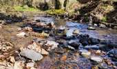 Trail Walking Sprimont - Les vallons du chantoir  - Photo 4
