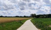 Trail Walking Chaumont-Gistoux - Sur les traces de la préhistoire  - Photo 12