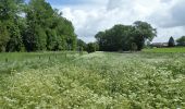 Tour Zu Fuß Genappe - #200523 - Loncée, Vallée de la Haute Dyle et Houtain*** - Photo 9