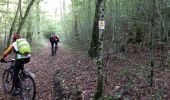 Tocht Mountainbike Courtivron - 10_10_20 - Photo 11