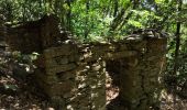 Trail Walking Saint-Martin-de-l'Arçon - le Caroux - Photo 17