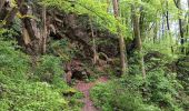 Trail Walking Hamoir - comblain la tour . xhygnesse . comblain fairon . comblain la tour - Photo 10