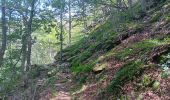 Trail Walking Céret - pic des salines . pou del neu . retour via GR10 . solo - Photo 3