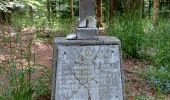 Trail Walking Goldbach-Altenbach - goldbach - Photo 7