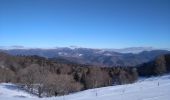 Percorso Racchette da neve Bourbach-le-Haut - Sortie raquettes Hundsruck Belacker - Photo 5