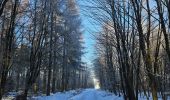 Trail Walking Saint Vith - Rodt - BierMuseum ❄️ - Photo 11