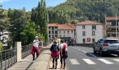Trail Walking Le Puy-en-Velay - Circuit parcours Coeur et Ssnte - Photo 8