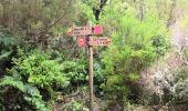 Trail Walking Calheta - chemin des cascades  - Photo 2