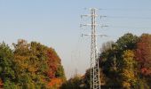 Tour Zu Fuß Tessenderlo - Asdonk Rode driehoek - Photo 9