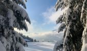 Tocht Sneeuwschoenen Saint-Jean-de-Sixt - Le panorama du Danay (14) - Photo 10