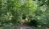 Tour Wandern Profondeville -  RB-NA-20-R2 / Profondeville / 2020-07-11 / 15 km - Photo 20