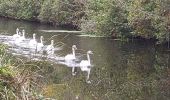 Tour Wandern Woking - Ballade le long du canal - Photo 1