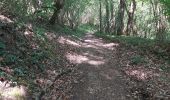 Trail Walking Valorbiquet - st  - Photo 6