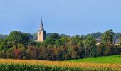 Tocht Stappen Philippeville - Balade de Villers-le-Gambon à Franchimont - Photo 5