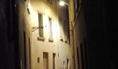 Randonnée Marche Vienne - naïade nocturne digestive à Vienne - Isère - Photo 18