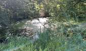 Randonnée Marche Rethondes - en Forêt de Laigue, 04_07_2025_sur les Routes du Grand Octogone, du Plessis-Brion, de Sainte-Croix, du Petit Octogone et de la Belle Assise - Photo 15