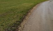 Trail Walking Amancey - Amancey - Flagey - Bolandoz  - Photo 1