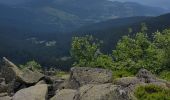 Tour Wandern Le Valtin - tanet lac vert le col du tanet - Photo 7