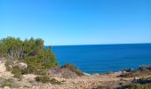 Trail Walking Leucate - plateau leucate - sud est  - Photo 14