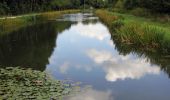 Tour Zu Fuß Schwarzenbruck - Burgthann Walking König-Ludwig-Runde - Photo 3