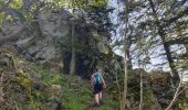 Trail Walking Muhlbach-sur-Bruche - Les chaumes de Grendelbruch - Photo 13
