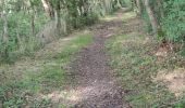 Trail Walking Lierneux - réserve naturelle de Lierneux - Photo 3