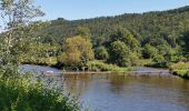 Trail Walking Vresse-sur-Semois - LAFORET ... un des plus beaux villages de Wallonie. - Photo 6