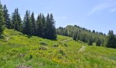 Tour Wandern Crêts-en-Belledonne - LE GRAND ROCHER PAR LE REFUGE DU CRET DU POULET - Photo 8