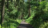 Tour Wandern Trooz - A la découverte de Nessonveaux 🥾 - Photo 8