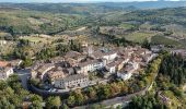 Tour Zu Fuß Radda in Chianti - IT-52 - Photo 8