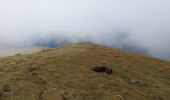 Tocht Stappen Chambon-sur-Lac - Col de la croix Morand - Puy  Sancy  - Photo 9