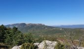 Trail Walking Mazaugues - le Mourre d'Agnis au départ du Caucadis - Photo 12