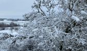 Percorso Marcia Gerpinnes - Hymiée sous la neige  - Photo 5