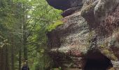 Trail Walking Allarmont - Balades féeriques des roches  - Photo 2